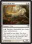 rumors:innistrad:silverchase-fox.full.jpg