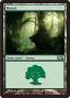 rumors:m14:forest3.jpg