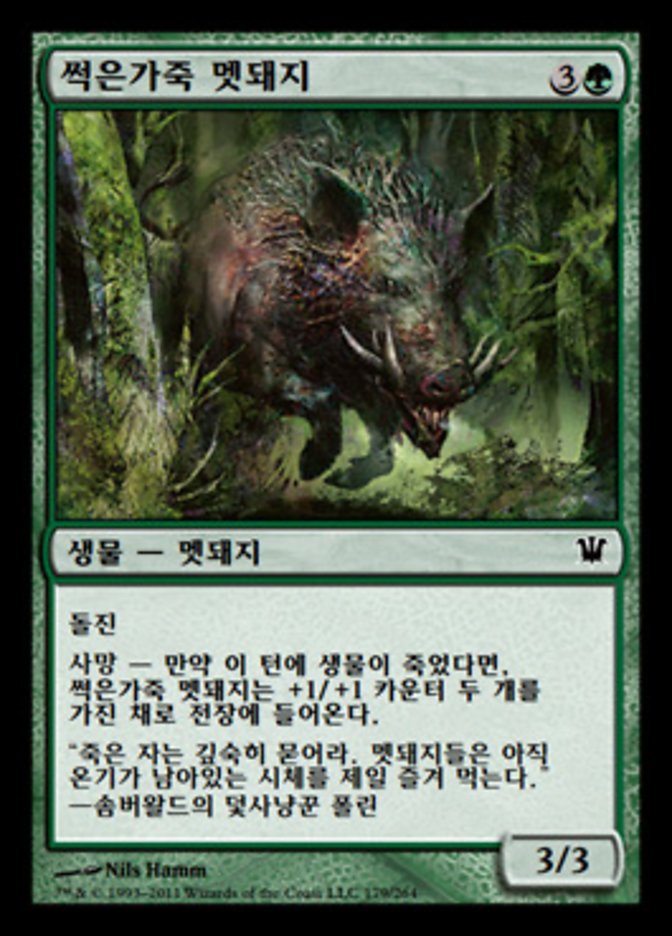 Festerhide Boar