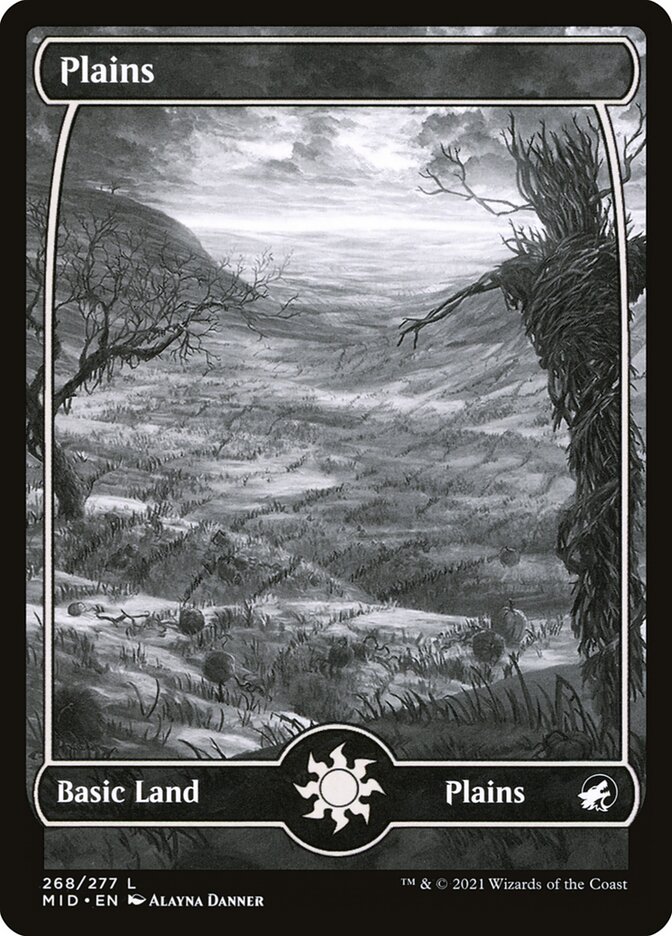 Plains