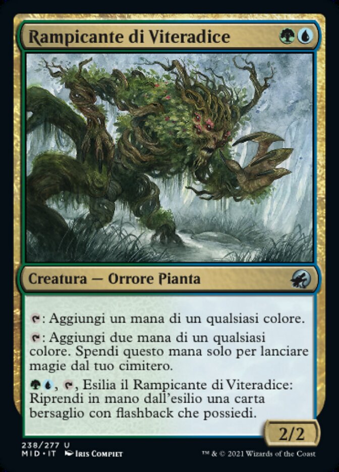 Rootcoil Creeper