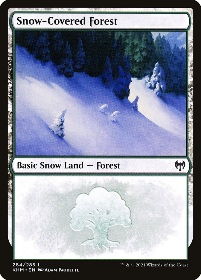 Snow-Covered Forest