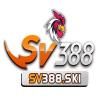 sv388ski's Foto