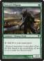 rumors:innistrad:avacyn-s-pilgrim.full.jpg